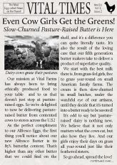 Vital Times Newsletter Image - Issue 8.1