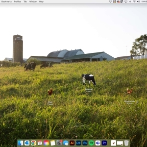 Put a little Pasture on your Mac Desktop