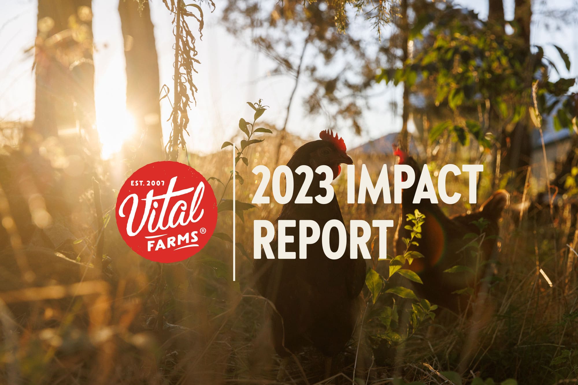Vital Farms 2023 Impact Report