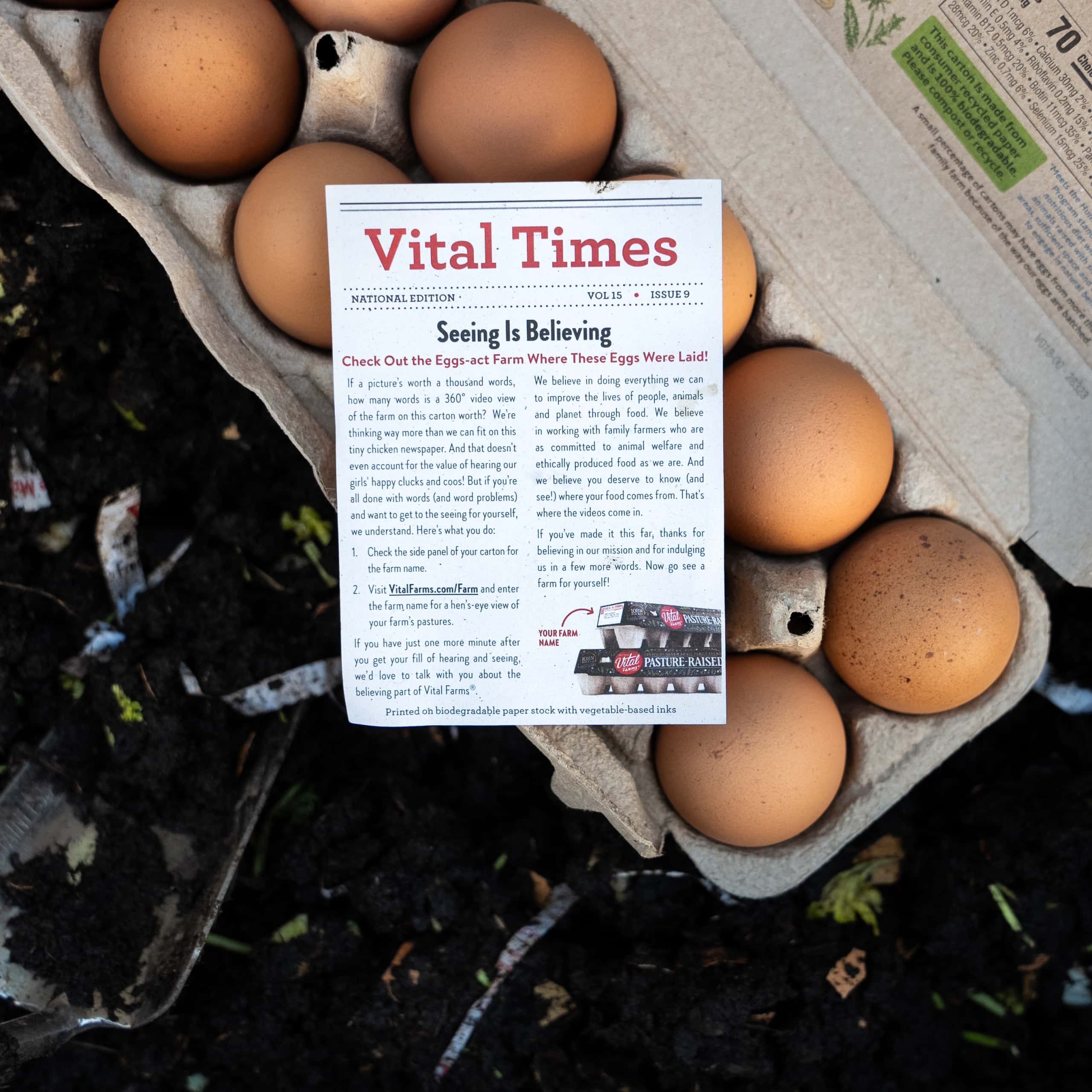 How to Compost Your Vital Times