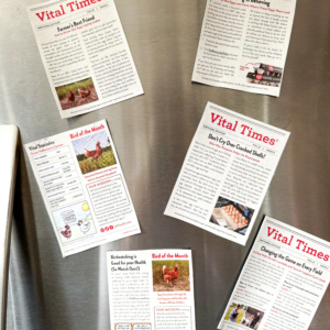 DIY Vital Times Fridge Magnets