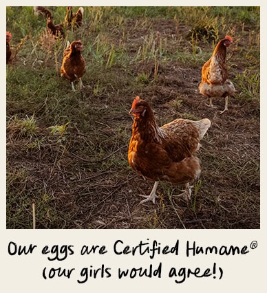 Our eggs are Certified Humane® (our girls would agree!)